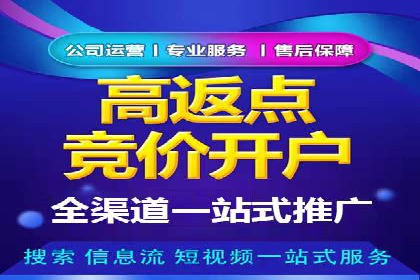 SEM竞价广告投放效果案例分析