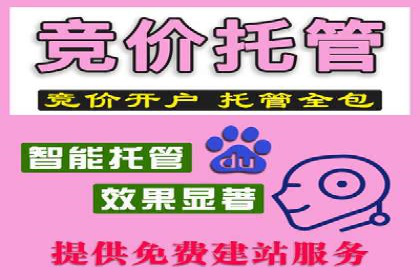 某公司如何通过SEM实现精准营销——从策略到执行的完整案例
